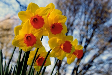 Reflections for Mothers Day